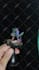 provide custom professional painting for your miniatures