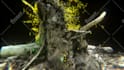 create a uniqe abstract 3d animated music video