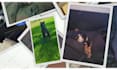create celebration of life photo montage and memorial video