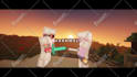 record and create a minecraft server trailer for you