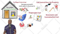 create a high quality custom sales and info whiteboard animated explainer videos