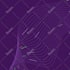 design lightweight lottie json animations for web, mobile app, and UI
