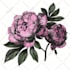 do or draw a painting using your procreate brushes for your ad