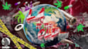 make fivem logo banner and loading screen