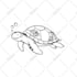 draw simple doodle illustration