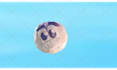 create a professional stop motion animation for any idea