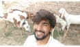 wish happy birthday and sing song with my goats