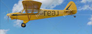 make propeller plane fly in sky logo reveal animation