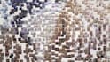 create a custom photo mosaic from your photos and videos