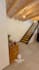 do real estate and construction video editing