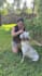create ugc videos with my dog tiktok reels amazon pets