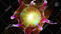 create the best trippy psychedelic music video