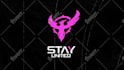epic gaming youtube intro and outro logo animation