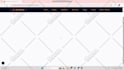 do website design, website development, custom website for your business