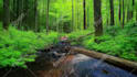 create 10 cozy relaxing rain videos