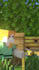 make minecraft animations for your youtube shorts