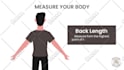 build a wow 2d animated explainer video