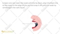create engaging doodle whiteboard animation explainer video