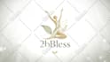 create a professional custom logo animation in 24 hours