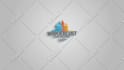 create a professional custom animated logo introduction