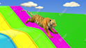 create 3d kids animation video