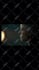 do professional capcut edit for you