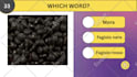 create 5 long quiz videos for youtube