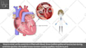 create customized low price whiteboard animation