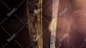 create epic luxurious gold cinematic 3d logo animation
