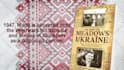 book trailer and ebook promo video for amazon kindle books