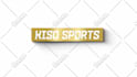 make 25 luxury gold  logo intro animation with sound effects