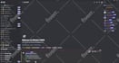 setup custom and professional discord server