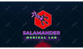 create a stunning 2d 3d animated logo intro video