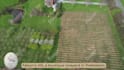 do real estate google earth studio map vfx video editing