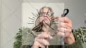 create high converting amazon shoppable video to boost sales