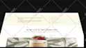 edit your videos professionally with a professional touch