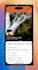 build a native ios app in swift and xcode