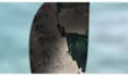 do any map with 3d motion tracking