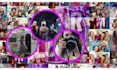 create engaging video ads with stock footage and motion graphics