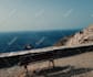 do cinematic video editing and vlog editing