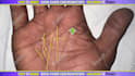 give a palm reading on video in 24h