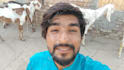 wish happy birthday and sing song with my goats