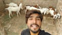 wish happy birthday and sing song with my goats