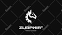 do professional logo animation fast and stylish designs