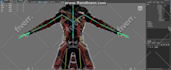 custom 3d VR chat avatar, vtuber model , animaze avatar