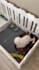 create dog or cat ugc videos for your pet product and services