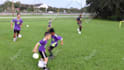 do professional video editing and motion graphics