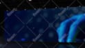 edit motion array, envato template on after effects edit video, custom animation