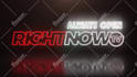 create professional neon sign intro logo animation video in 12hrs