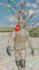 create 3d short animations like zack d films